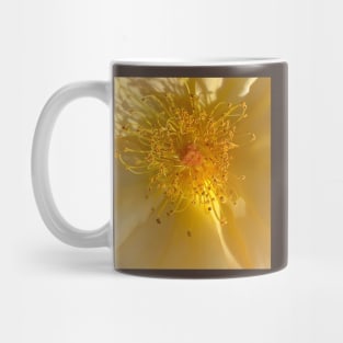 Interior Sun Mug